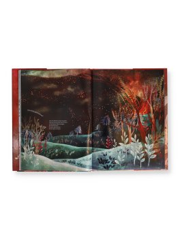 Misteriose Principesse — Libro - 3