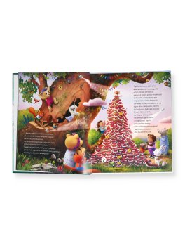 Mistero nel Bosco — Libro - 2
