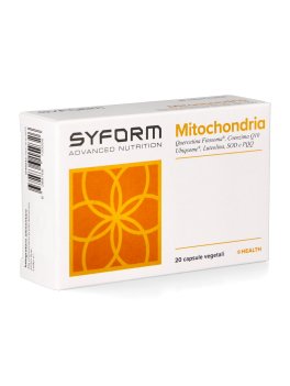 Mitochondria - 1
