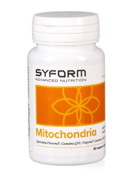 Mitochondria - 1