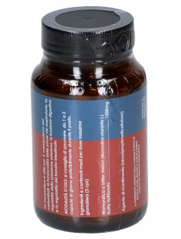 Momordica 500 mg - 2