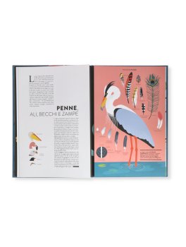 Mondo Animale — Libro - 2