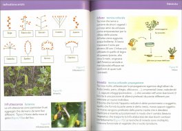 Mondo Verde Dizionario - 3