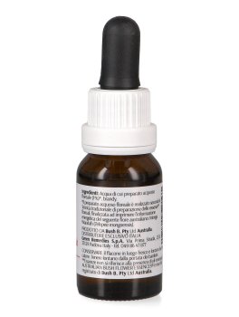 Monga Waratah - Essenza Floreale Australiana Singola - 2