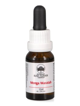 Monga Waratah - Essenza Floreale Australiana Singola - 1