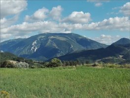 Monte Nerone — Libro - 5