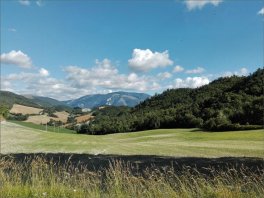 Monte Nerone — Libro - 4