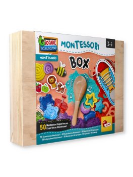 Montessori Box - 1