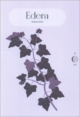 Moon Phases — Libro - 3