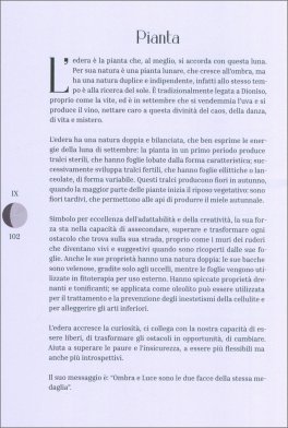 Moon Phases — Libro - 4