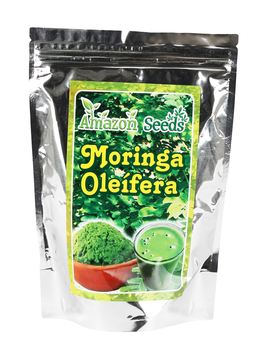 Moringa Oleifera - 1