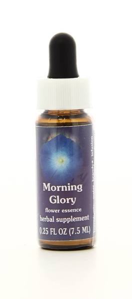 Morning Glory - Fiori californiani - 1