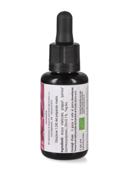 Morning Glory - Fiori californiani - Dose - 2