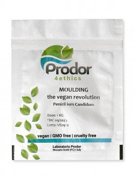 Moulding the Vegan Revolution - Penicillium Candidum - 1