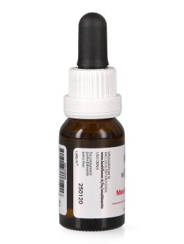 Mountain Devil - Essenza Floreale Australiana Singola - 3