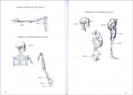 Moxibustione per Tutti — Libro - 4