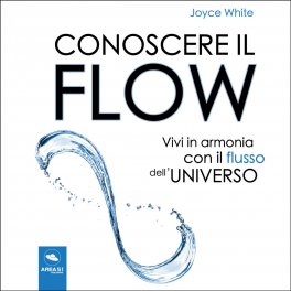 Mp3 - Conoscere il Flow — mp3 - 1