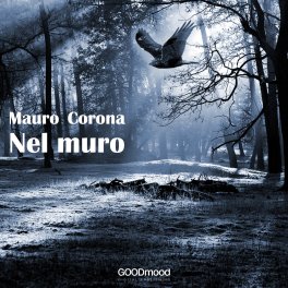Mp3 - Nel Muro — mp3 - 1