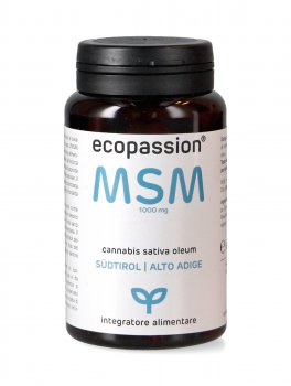 MSM 1000 mg - 90 Capsule - 2