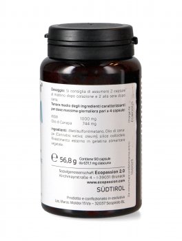 MSM 1000 mg - 90 Capsule - 3