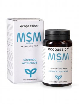 MSM 1000 mg - 90 Capsule - 1