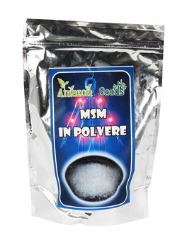 MSM in Polvere - 1