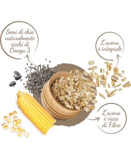 Muesli Croccante con Chia, Semi di Zucca e Girasole Bio - 3