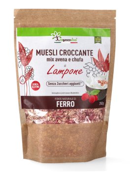 Muesli Croccante Mix Avena e Chufa al Lampone - 1