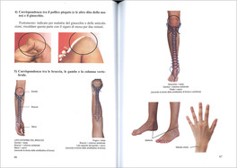 Multiriflessologia Facciale Dien Chan — Libro - 3