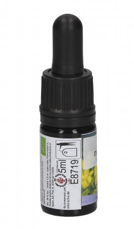 Mustard - Soluzione Madre - 3