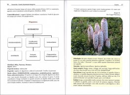 Mycoterapia Spagyrica — Libro - 3