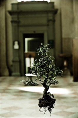 Naked Plants — Libro - 5