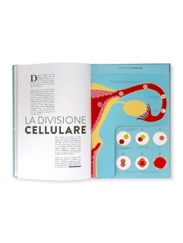 Nascita — Libro - 3