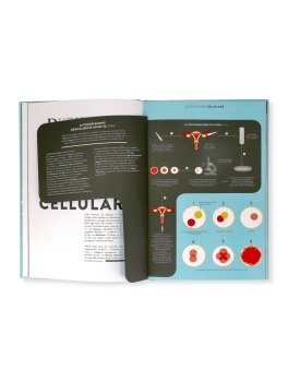 Nascita — Libro - 4