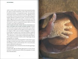 Nati Sostenibili — Libro - 3