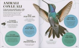 Natura - Impara in 5 Minuti — Libro - 3