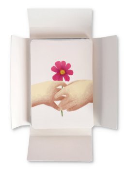 Natura in Gioco — Libro/Gioco - 3
