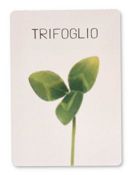 Natura in Gioco — Libro/Gioco - 6
