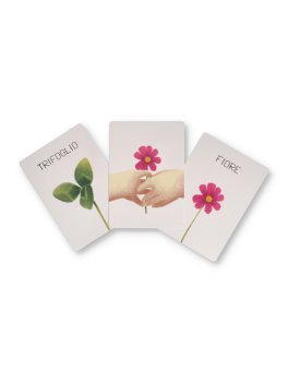 Natura in Gioco — Libro/Gioco - 4