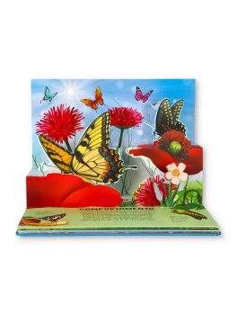 Natura Pop Up - Farfalle — Libro - 3