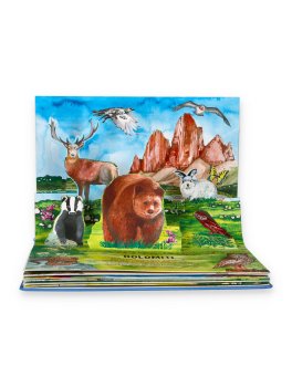 Natura Pop Up! Italia — Libro - 3