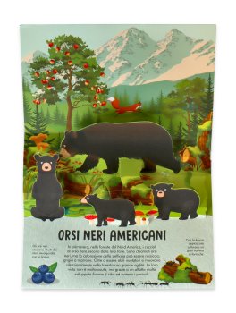 Orsi - Natura Pop Up — Libro - 3