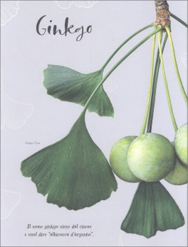 Natura Strabiliante — Libro - 3