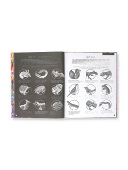 Naturalia — Libro/Gioco - 3
