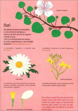 Naturalisti in Cucina — Libro - 4