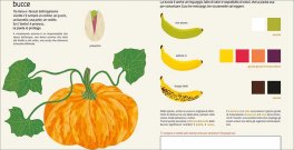 Naturalisti in Cucina — Libro - 5