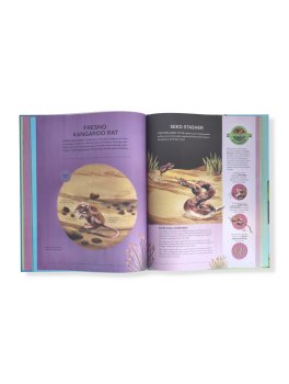 Nature's Tiny Champions — Libro - 3
