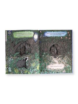 Nel Bosco dei Sogni — Libro - 3