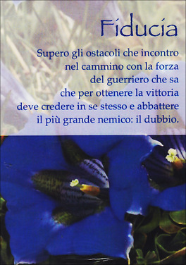 Nel Cuore della Vita + Carte  — Libro - 2