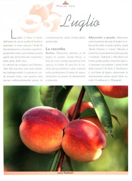 Nel Frutteto Con il Maestro Giardiniere — Libro - 2